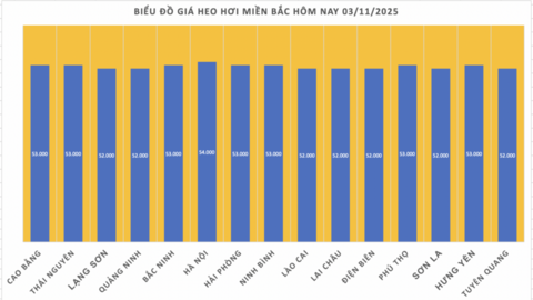 Giá heo hơi hôm nay 3/11/2025: Ổn định trên cả ba miền
