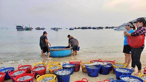 Gia Lai nâng mức ứng phó, chủ động bảo vệ người dân trước bão Kalmaegi