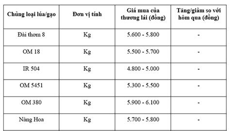 Giá lúa gạo hôm nay ngày 5/11: Thị trường trầm lắng