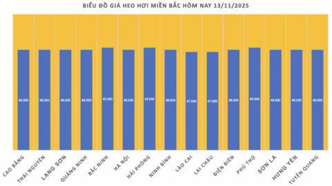 Giá heo hơi hôm nay 13/11/2025: Giảm rải rác ở miền Trung và miền Nam