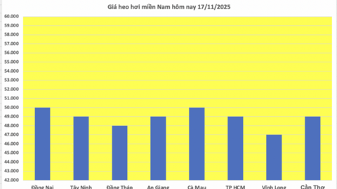 Giá heo hơi hôm nay 17/11/2025: Lặng sóng cả 3 miền