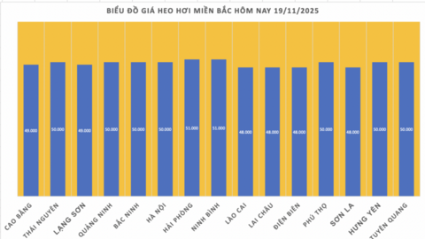 Giá heo hơi hôm nay 19/11/2025: Đồng loạt tăng
