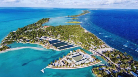 Những quốc gia, vùng lãnh thổ sẽ đón năm mới 2026 sớm nhất