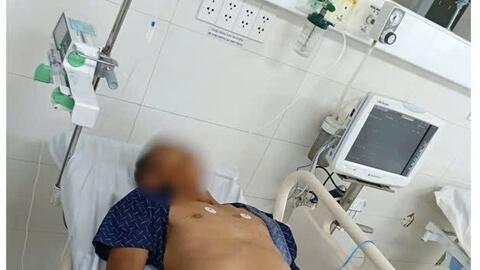Gia Lai: Ăn bọ xít, một người bị suy đa tạng nguy kịch