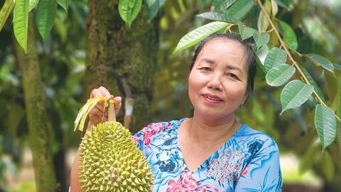 Phê duyệt chương trình Phát triển tài sản trí tuệ TP Cần Thơ 