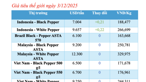 Giá tiêu hôm nay 3/12/2025: Giảm từ 500 - 1.000 đồng/kg