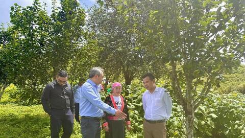 Liên kết sản xuất tạo sinh kế bền vững cho đồng bào dân tộc Lai Châu