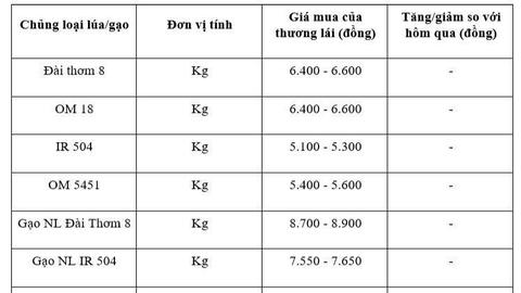 Giá lúa gạo hôm nay ngày 5/12: Gạo xuất khẩu tiếp đà giảm, lúa vững giá.