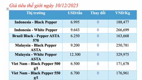 Giá tiêu hôm nay 10/12/2025: Biến động trái chiều