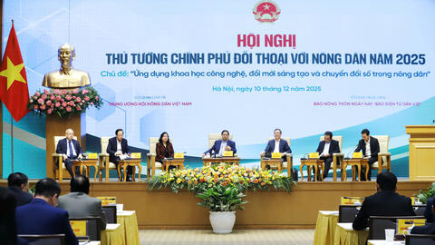 Mở rộng thị trường, xây dựng thương hiệu: Chìa khóa nâng tầm gạo Việt