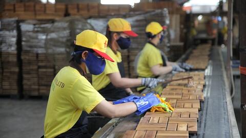 'Đường cao tốc' mới cho xuất khẩu gỗ Việt Nam