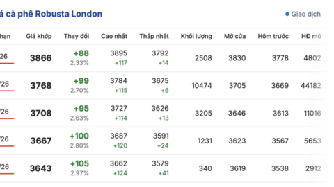 Giá cà phê hôm nay 23/12/2025: Đảo chiều tăng mạnh