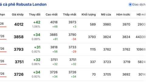 Giá cà phê hôm nay 29/12/2025: Tạm chững phiên đầu tuần