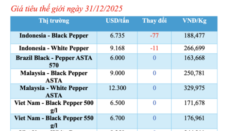 Giá tiêu hôm nay 31/12/2025: Biến động trái chiều
