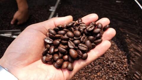 Năm 2025, ngành Nông nghiệp và Môi trường đạt và vượt 9/9 chỉ tiêu