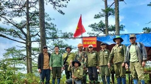 Lâm Đồng công bố số điện thoại đường dây nóng về bảo vệ rừng