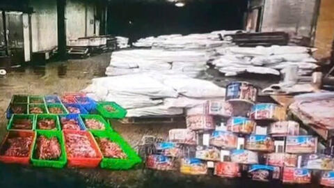 Hải Phòng khởi tố 9 bị can vụ mua bán hơn 120 tấn thịt lợn nhiễm bệnh