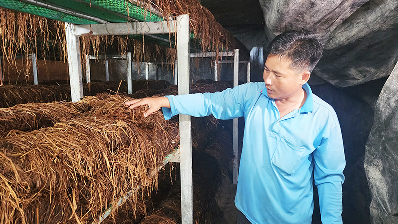 Kinh tế tuần hoàn hướng đến phát triển nông nghiệp xanh 