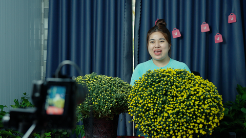 20.000 chậu cúc mâm xôi 'cháy hàng' qua nền tảng TikTok Shop