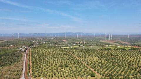Gia Lai: Điện gió 99 MW hòa lưới, tăng nguồn điện sạch quốc gia