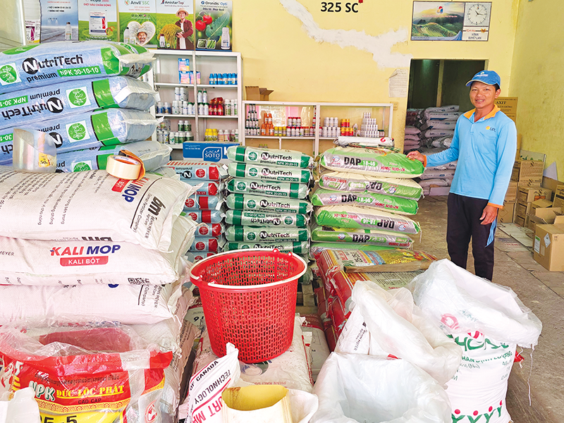 Giá phân bón ở mức cao, nông dân trồng lúa giảm lợi nhuận 
