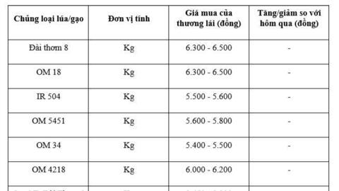 Giá lúa gạo hôm nay ngày 20/1: Gạo thơm neo cao