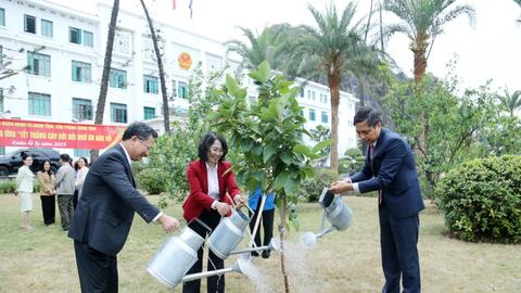 Quảng Ninh phát động Tết trồng cây Xuân Bính Ngọ 2026