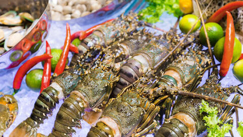 Trung Quốc ‘tăng chi’ cho phân khúc cao cấp, xuất khẩu tôm Việt hưởng lợi