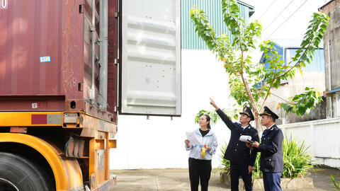 Tăng cường kiểm soát đá nhân tạo, gạch ốp lát nhập khẩu