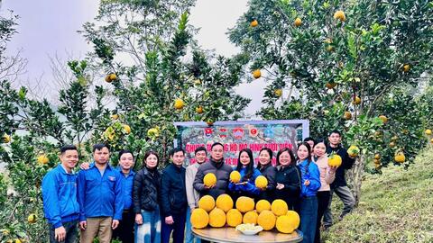 Lạng Sơn tổ chức phiên Livestream quảng bá nông sản, đặc sản