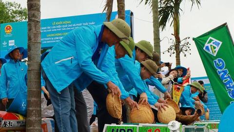 Nhân rộng mô hình lúa phát thải thấp, nâng hình ảnh hạt gạo Việt