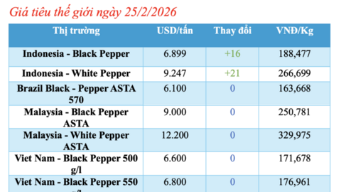 Giá tiêu hôm nay 25/2/2026: Giảm nhiều nơi