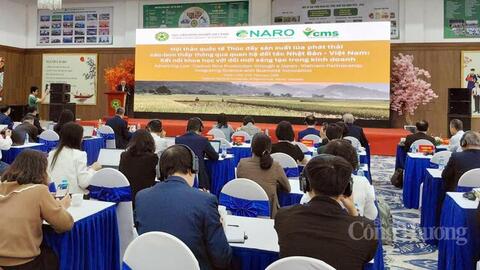 Nhật Bản - Việt Nam: Thúc đẩy hợp tác phát triển lúa phát thải thấp