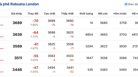 Giá cà phê hôm nay 27/2/2026: Tăng thêm 1.000 đồng/kg