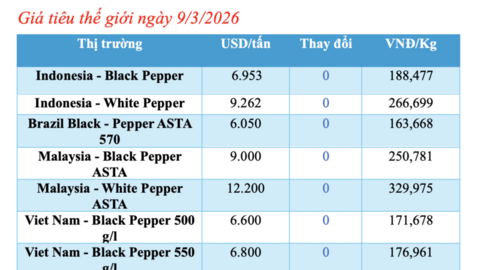 Giá tiêu hôm nay 9/3/2026: Giữ đà bình ổn
