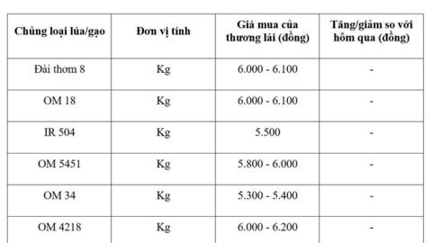 Giá lúa gạo hôm nay ngày 17/3/2026: Gạo xuất khẩu OM 5451 giảm
