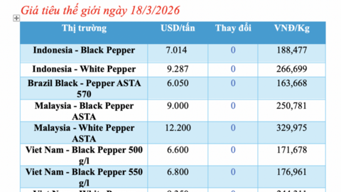 Giá tiêu hôm nay 18/3/2026: Cao nhất đạt 143.000 đồng/kg