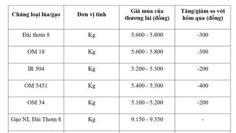 Giá lúa gạo hôm nay ngày 18/3/2026: Lúa tươi đồng loạt giảm
