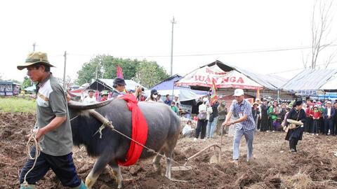 Đắk Lắk: Khát vọng ấm no trên vùng đất mới từ lễ hội Lồng Tồng