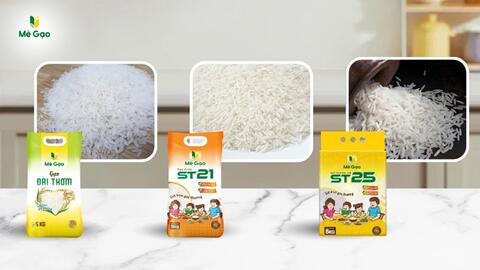 So sánh gạo Đài Thơm 8, ST21 và ST25: Loại nào phù hợp cho gia đình bạn? 