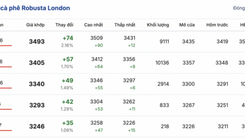 Giá cà phê hôm nay 01/4/2026: Bất ngờ lao dốc, giảm đến 4.800 đồng/kg