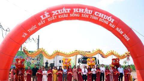 Đồng Nai đứng đầu về xuất khẩu chuối, sản lượng đạt trên 700.000 tấn/năm