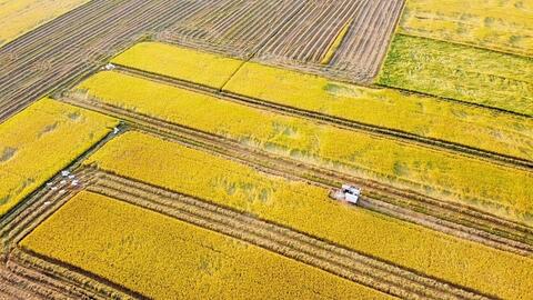 An Giang thắt chặt mối liên kết giữa hợp tác xã và doanh nghiệp 