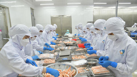 Dự báo xuất khẩu thủy sản quý II: Động lực từ thị trường Trung Quốc