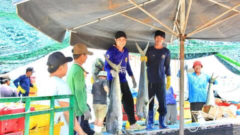 Chuẩn hóa sản xuất, Gia Lai hướng mục tiêu xuất khẩu 3,05 tỷ USD