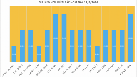 Giá heo hơi hôm nay 17/4/2026: Đi ngang trên cả nước
