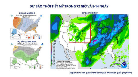 Giá lúa mì tăng mạnh do lo ngại thời tiết, nguồn cung thắt chặt