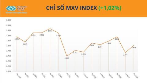 Giá cao su đồng loạt tăng, rủi ro nguồn cung vẫn đè nặng thị trường