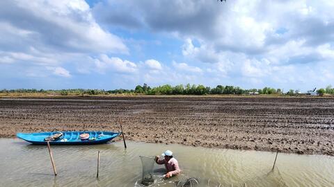 Cần Thơ ban hành kế hoạch phát triển sản xuất vùng nuôi tôm lúa giai đoạn 2026-2030