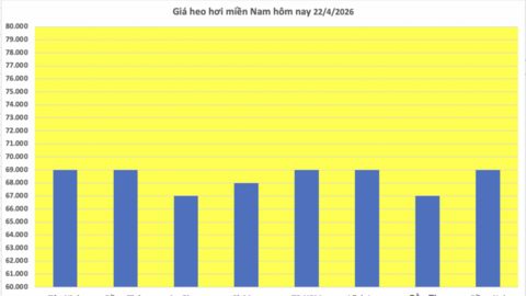 Giá heo hơi hôm nay 22/4/2026: Dao động từ 63.000 - 69.000 đồng/kg